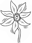 Coloriage Fleurs 84