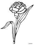 Coloriage Fleurs 90