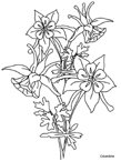 Coloriage Fleurs 92