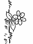 Coloriage Fleurs 97