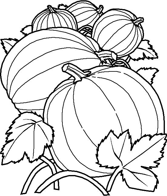 Coloriage 28 Fruits et legumes