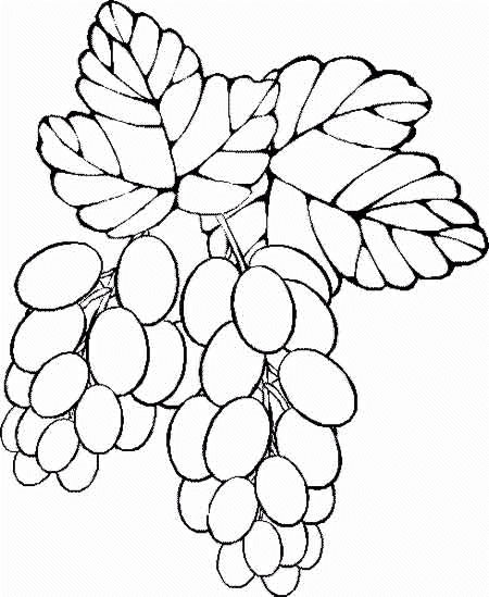 Coloriage 31 Fruits et legumes