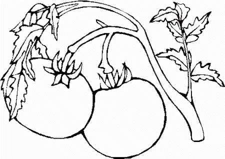 Coloriage 53 Fruits et legumes