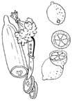 Coloriage Fruits et legumes 40