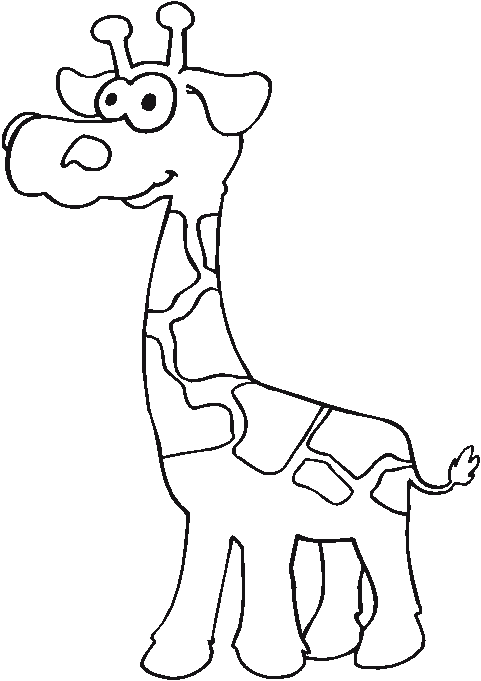 Coloriage 12 Girafes