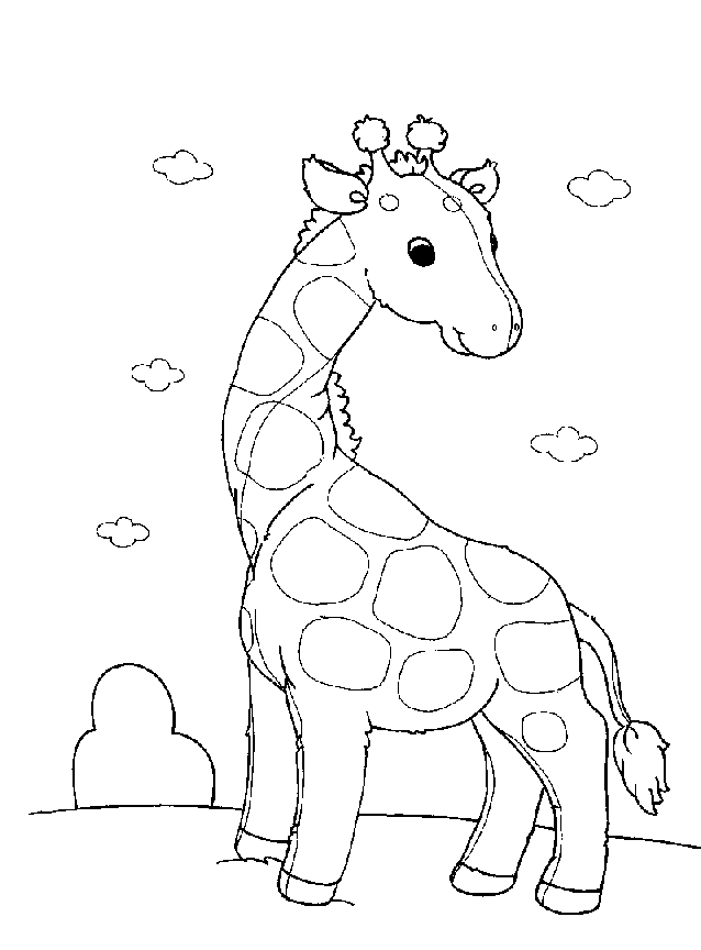 Coloriage 26 Girafes