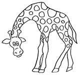 Coloriage Girafes 7