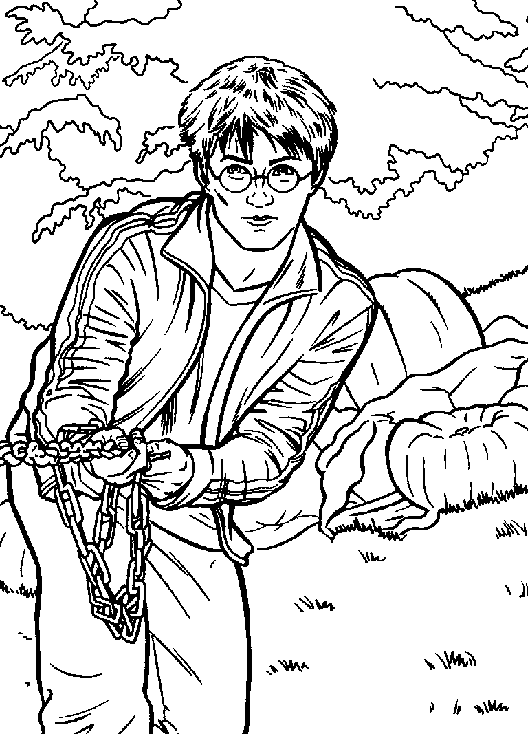 Coloriage 75 Harry potter