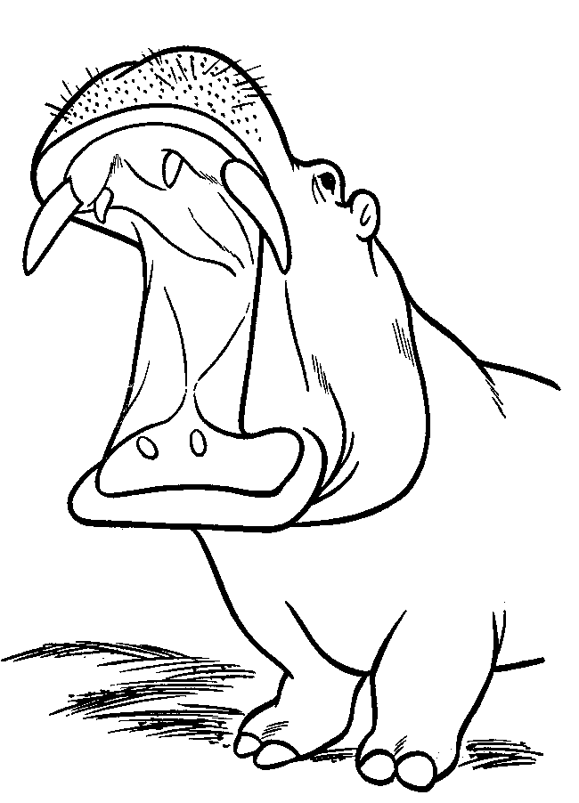 Coloriage 1 Hippopotame