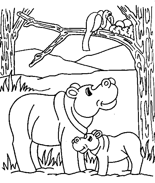 Coloriage 11 Hippopotame