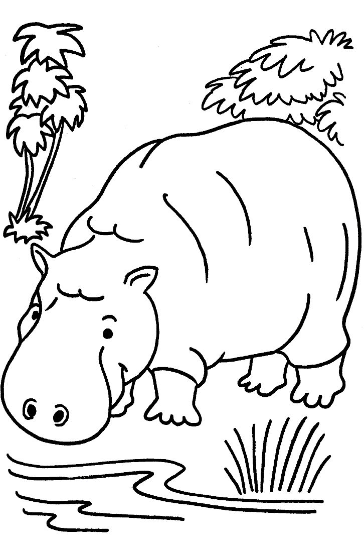 Coloriage 12 Hippopotame