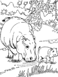 Coloriage Hippopotame 7