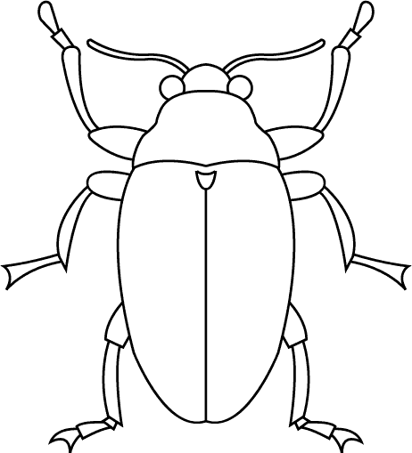 Coloriage 12 Insectes