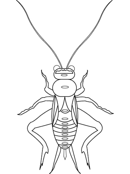Coloriage 7 Insectes