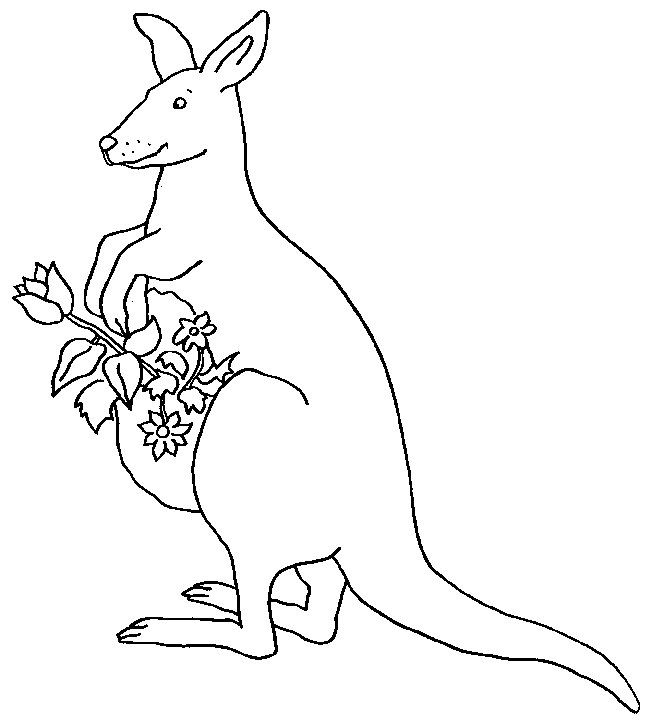 Coloriage 12 Kangourous