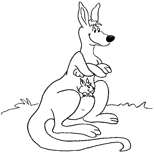 Coloriage 2 Kangourous