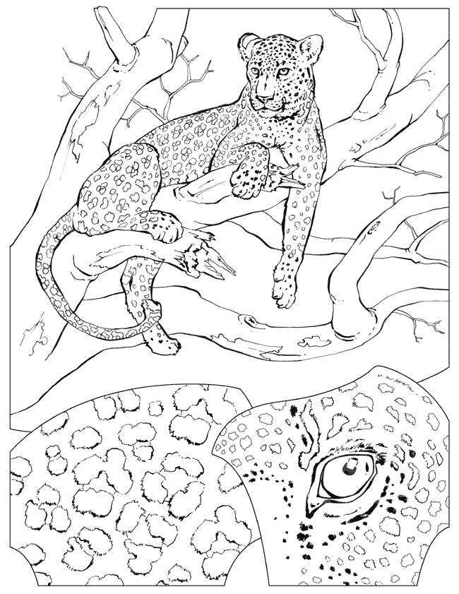 Coloriage 22 L-enseignement