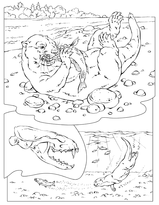 Coloriage 31 L-enseignement