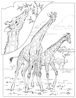 Coloriage L-enseignement 11