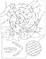 Coloriage L-enseignement 14