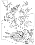 Coloriage L-enseignement 3