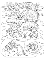 Coloriage L-enseignement 6