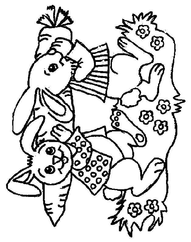 Coloriage 31 Lapins
