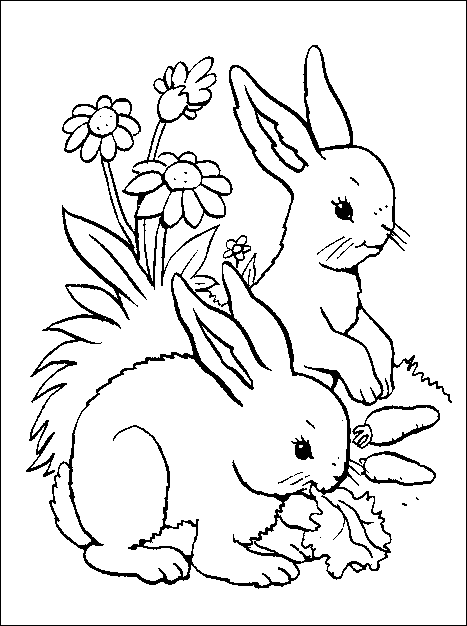 Coloriage 66 Lapins