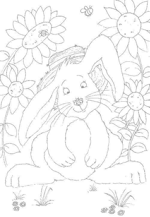 Coloriage 67 Lapins