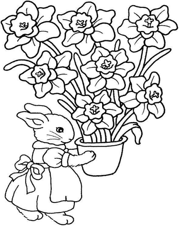 Coloriage 70 Lapins