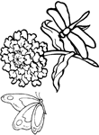 Coloriage Libellules 13