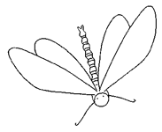 Coloriage Libellules 4