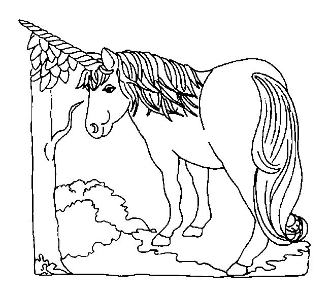 Coloriage 13 Licorne