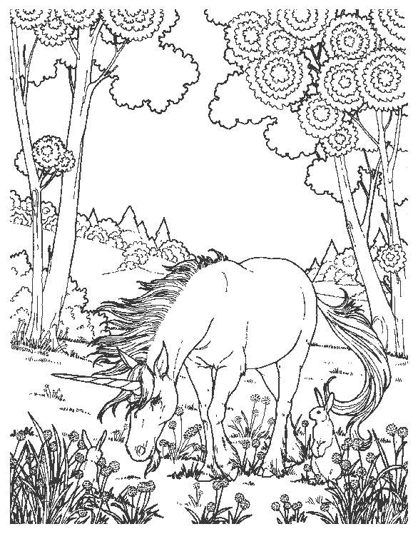 Coloriage 21 Licorne