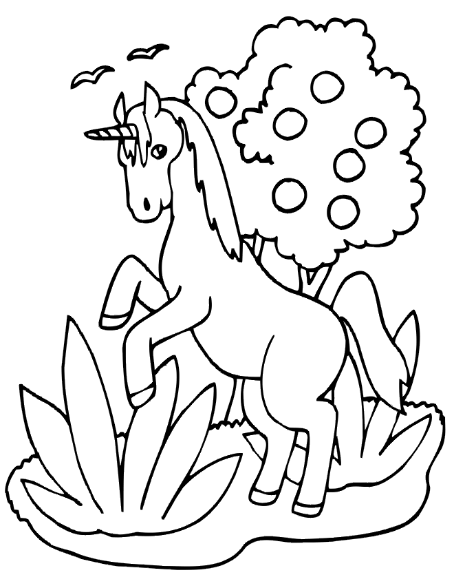 Coloriage 33 Licorne