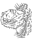 Coloriage Lions 32