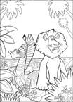 Coloriage Madagascar 1