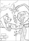 Coloriage Madagascar 6
