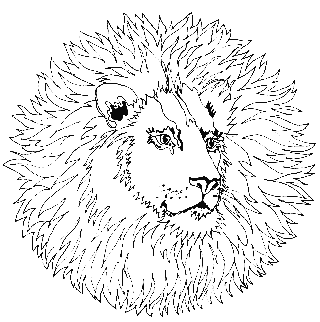 Coloriage 17 Mandala des animaux