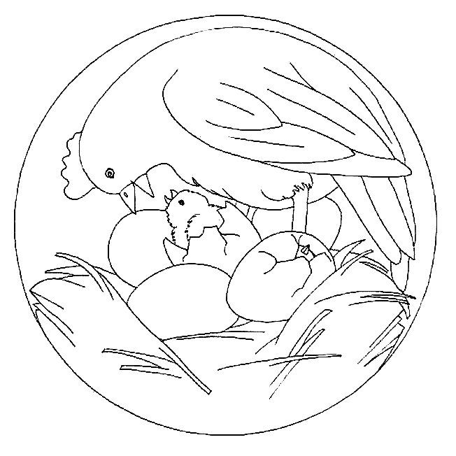 Coloriage 31 Mandala des animaux