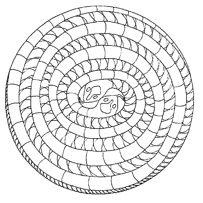 Coloriage 32 Mandala des animaux