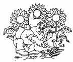 Coloriage Nains de jardin 22