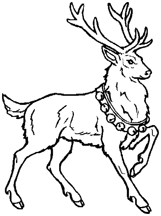 Coloriage 22 Noel animaux