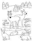 Coloriage Noel animaux 1