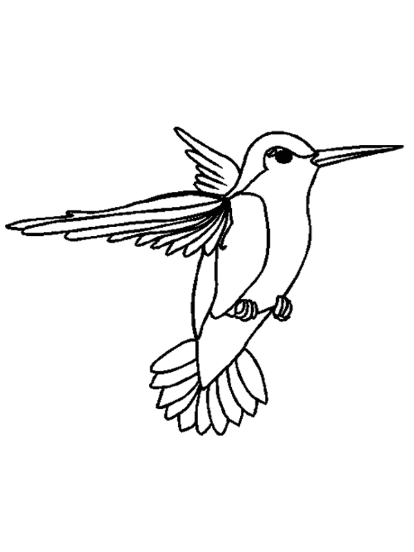 Coloriage 13 Oiseaux