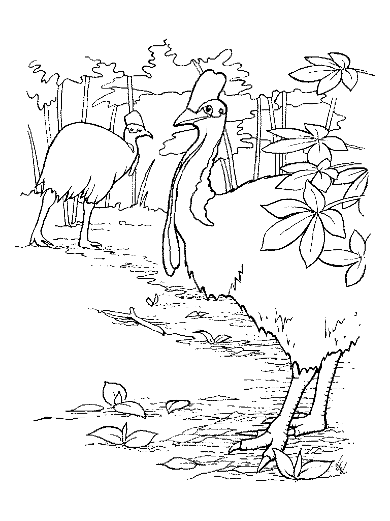 Coloriage 18 Oiseaux