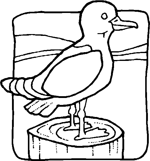 Coloriage 20 Oiseaux