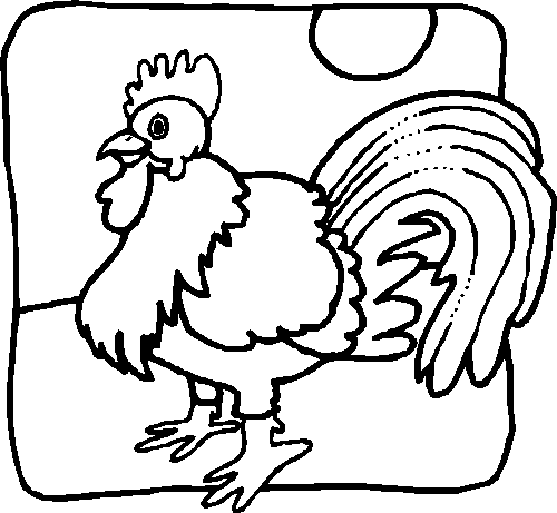 Coloriage 21 Oiseaux