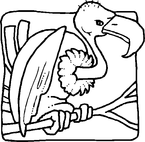 Coloriage 22 Oiseaux