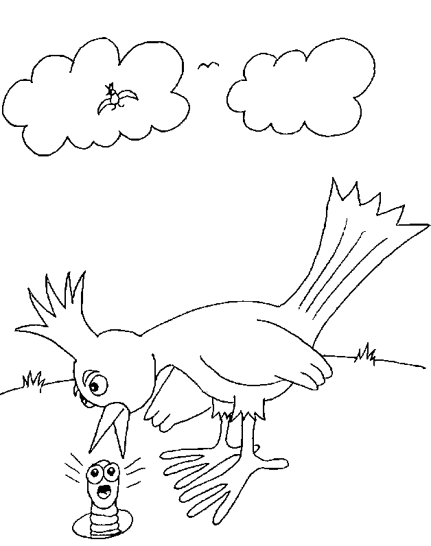 Coloriage 23 Oiseaux